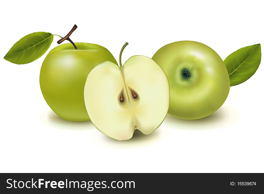 Photo-realistic illustration. Two green apples with leaves.