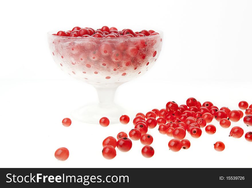 Currants against white background, close-up. Currants against white background, close-up