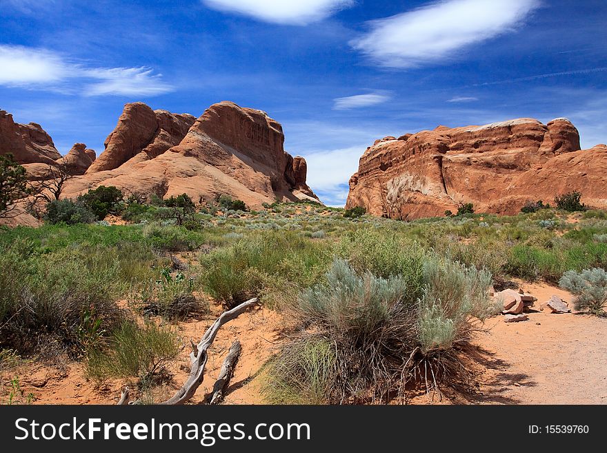 Landscape of Devils garden trail Arches