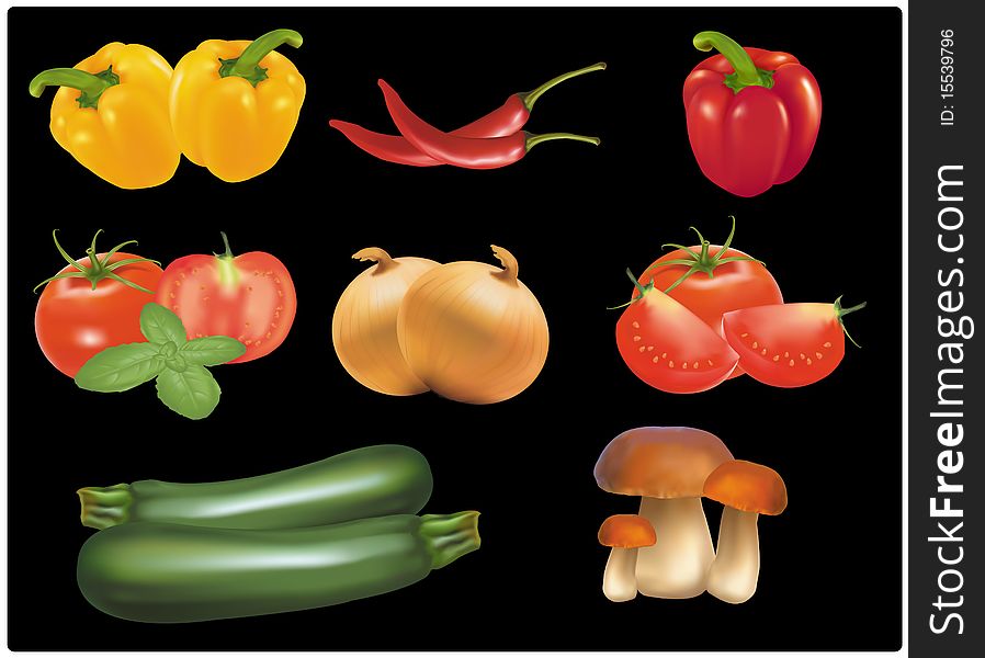 The big colorful group of ripe vegetables. Photo-realistic vector.