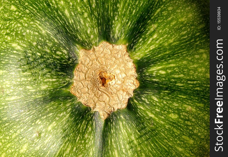 Detail photo texture of the zucchini background