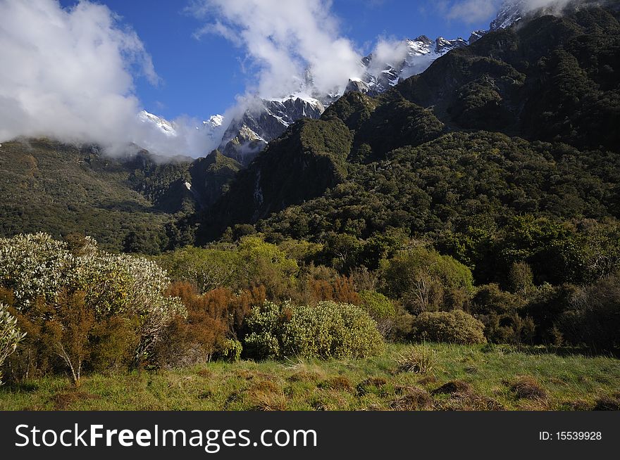 Landscape around the Welcome Flat, Copland Track, New Zealand