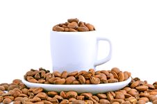 White Cup Filled With Coffee Beans Royalty Free Stock Photo White Cup Filled With Coffee Beans Royalty Free Stock Photo
