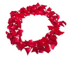 Rose Petals Royalty Free Stock Photos Rose Petals Royalty Free Stock Photos