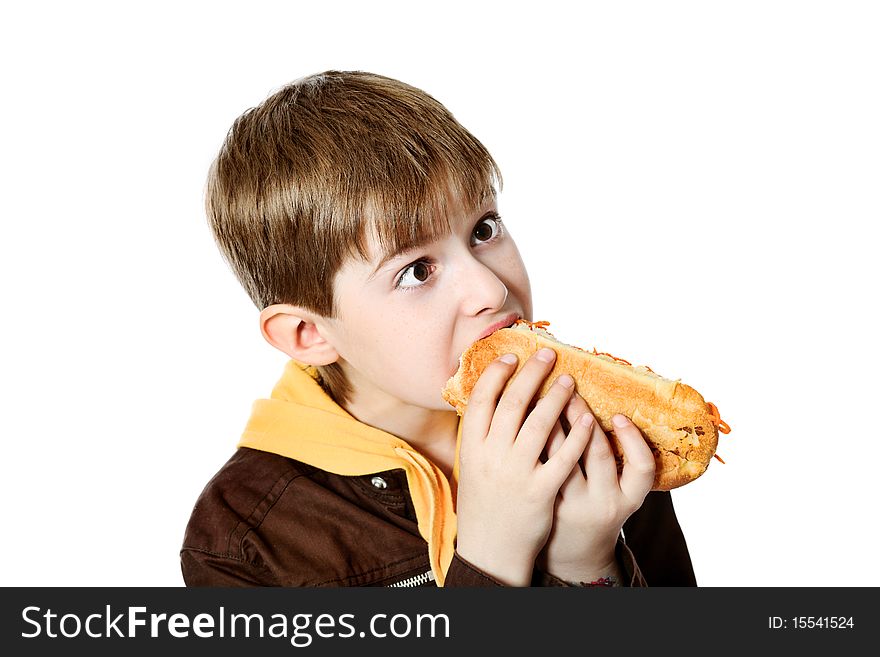 Shot of a hungry boy with a tasty hot dog.