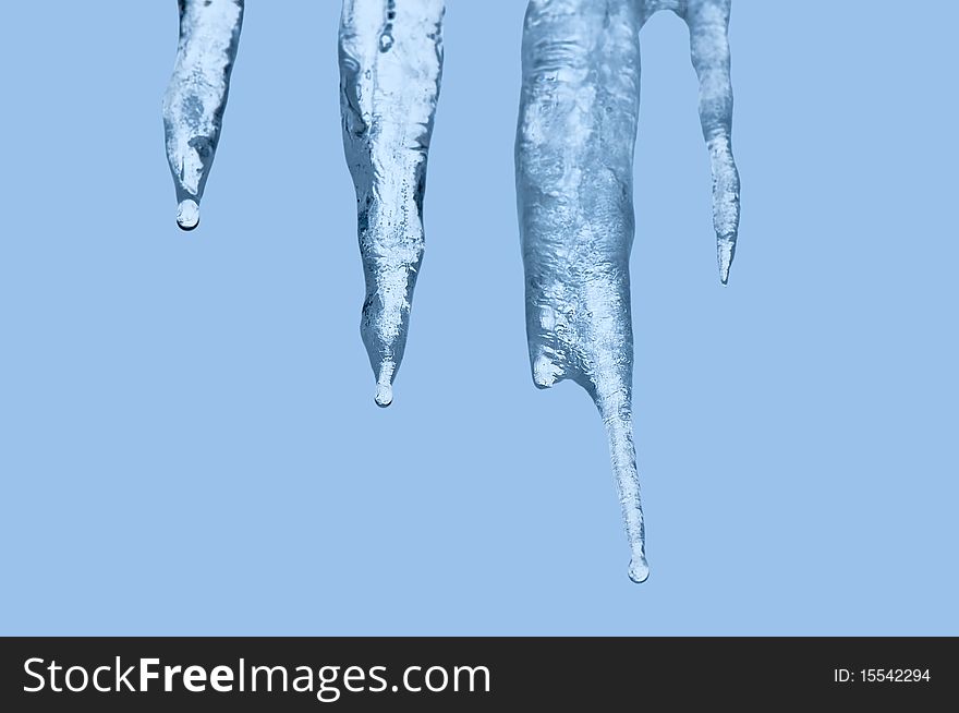 Thawing icicles of a blue shade with water droplets