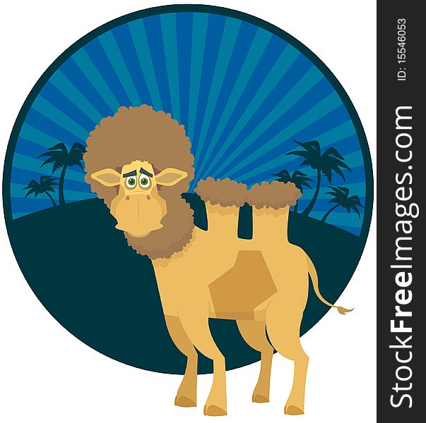 Serious camel. A vector illustration