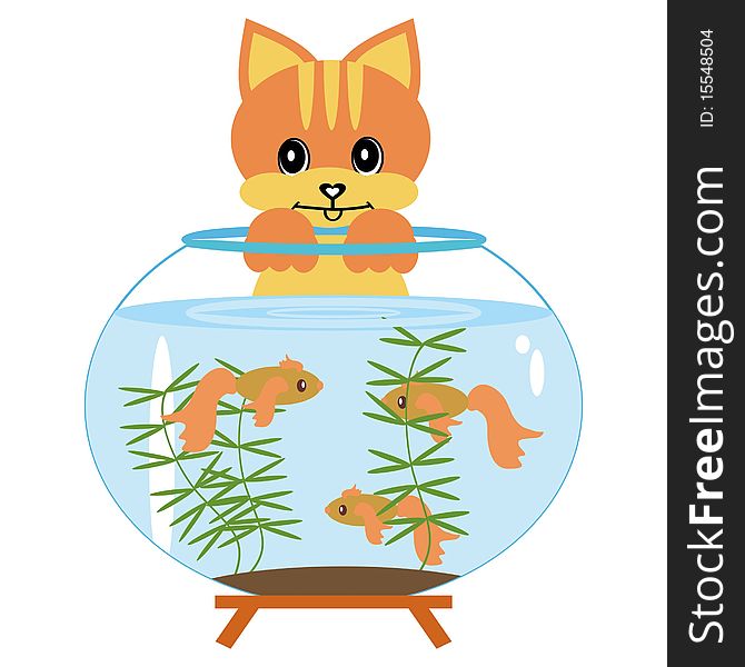 Cat with aquarium and fish