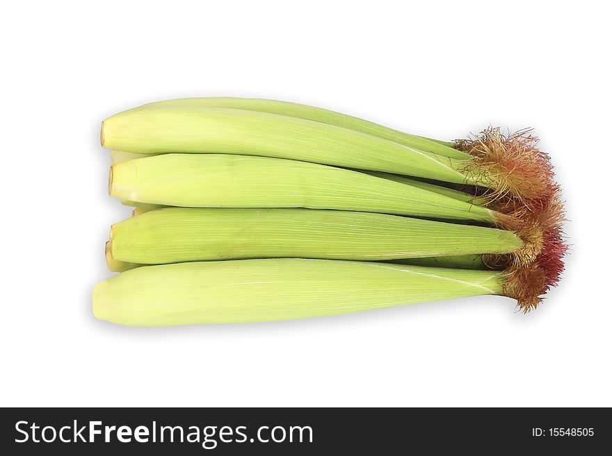 Pods, baby corn on a white background put together a beautiful sort. Pods, baby corn on a white background put together a beautiful sort