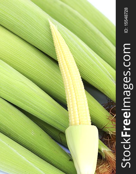 Pods, baby corn on a white background put together a beautiful sort. Pods, baby corn on a white background put together a beautiful sort