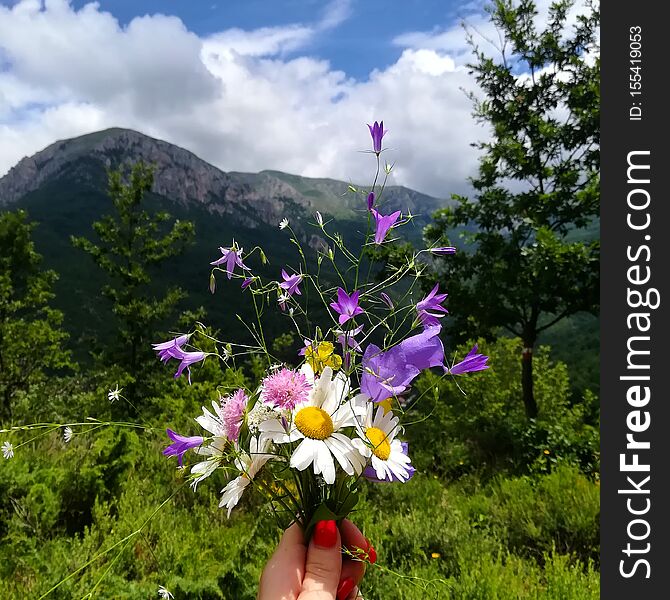 Pick some colorful flowers!