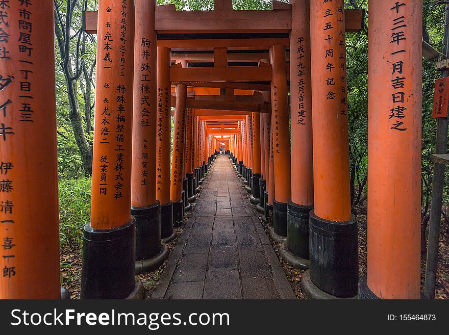 Kyoto - May 28, 2019: Torii gates of the Fushimi Inari Shinto shrine in Kyoto, Japan