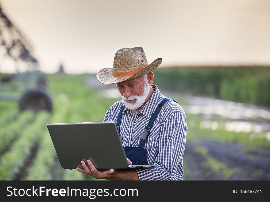 Senior farmer looking at laptop with irrigation system in soybean field in background. Senior farmer looking at laptop with irrigation system in soybean field in background