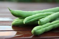 French Green Beans 2 Stock Photos French Green Beans 2 Stock Photos