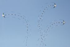 Kites Flying Stock Photo