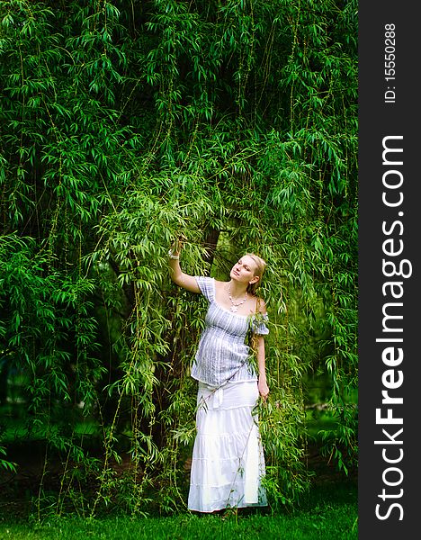Beautiful pregnant woman stands in the willow garden. Beautiful pregnant woman stands in the willow garden