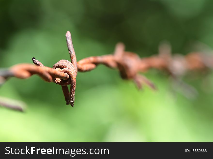 Barbed Wire with a green background