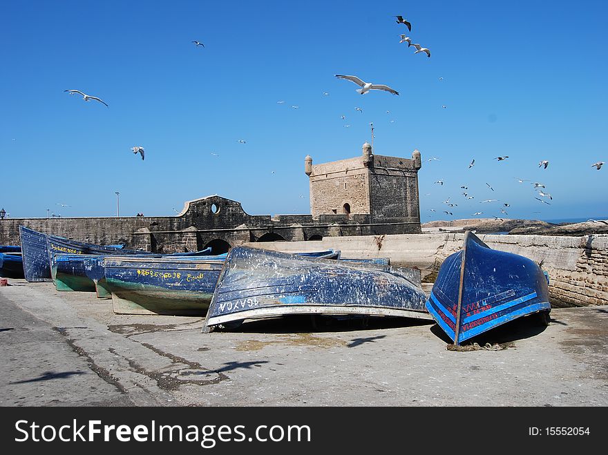Fishing boats lie at the harbour as gulls flock overhead in Essaouira. Fishing boats lie at the harbour as gulls flock overhead in Essaouira