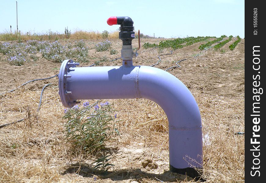System for irrigation of fields