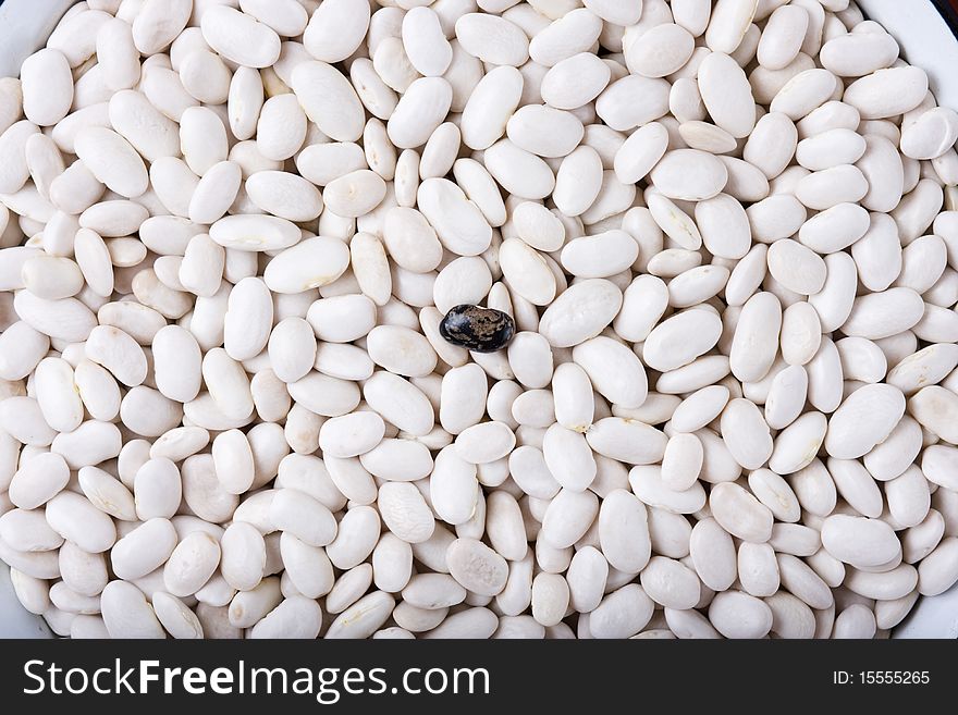 White beans background texture. Details visible. Black one in the center.