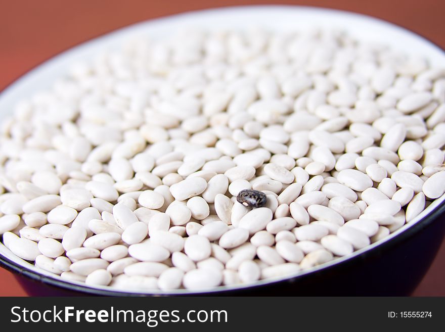 White beans background texture. Details visible. Shallow DOF.