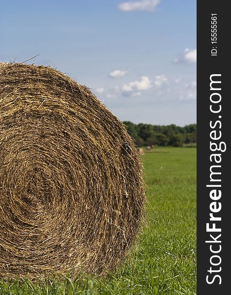 Bales of hay in a row