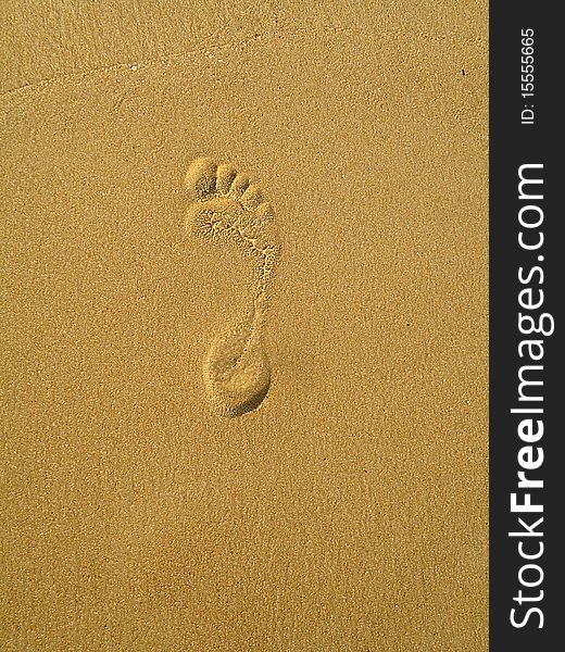 A momentary footprint on a sandy beach. A momentary footprint on a sandy beach