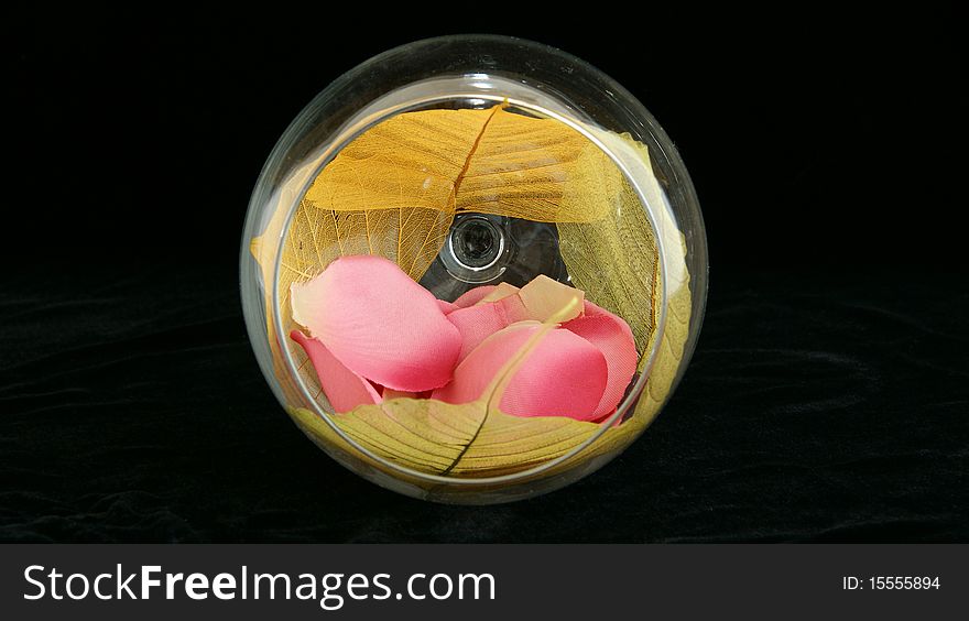 Floral Fantasy of leaves and flower petals in a large glass Fougere, isolated on black. Floral Fantasy of leaves and flower petals in a large glass Fougere, isolated on black