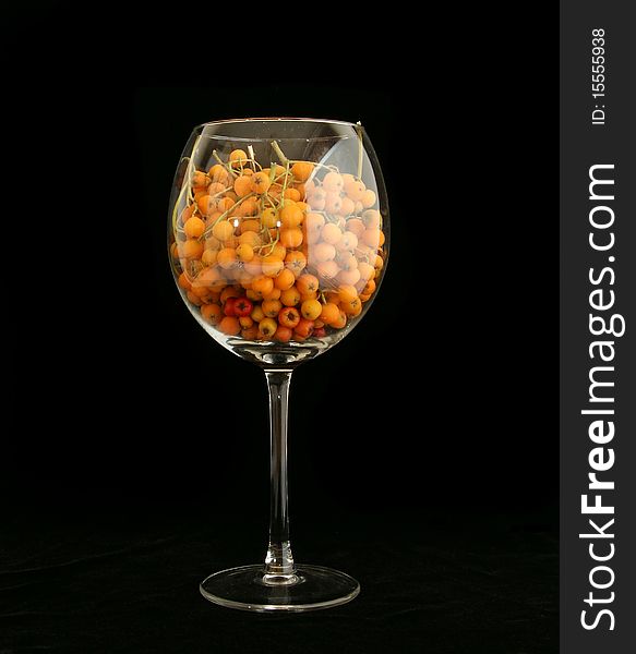 Still, a natural rowan in a large glass wine glasses. Still, a natural rowan in a large glass wine glasses