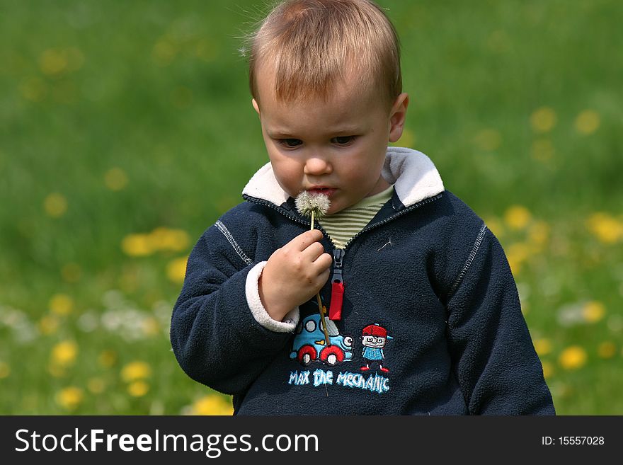 Boy And Dandelion