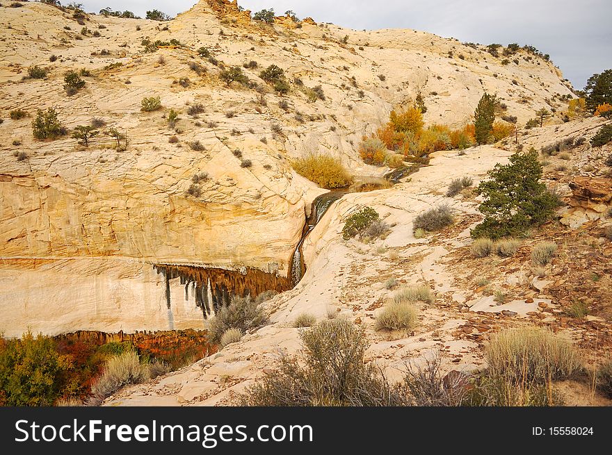 Desert Waterfall Trail