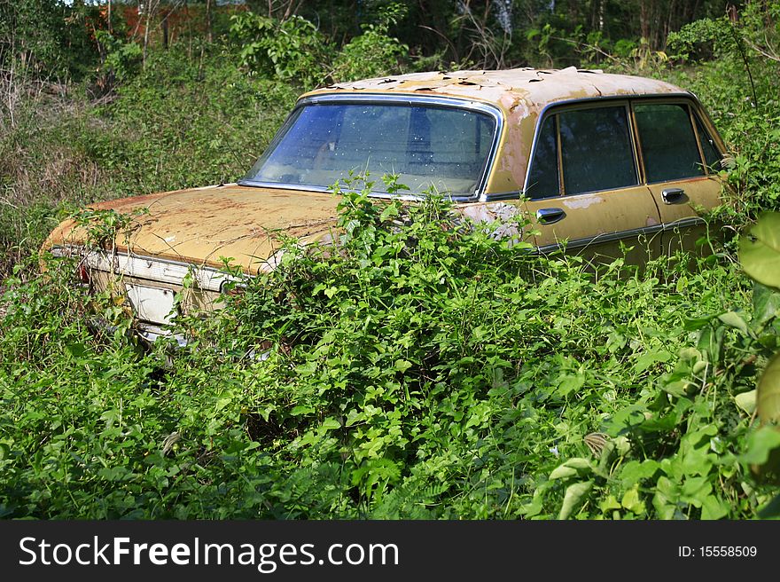 Old car parked in the forest grass