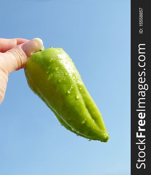 Ripe bell peppers in a female hand against the sky. Ripe bell peppers in a female hand against the sky