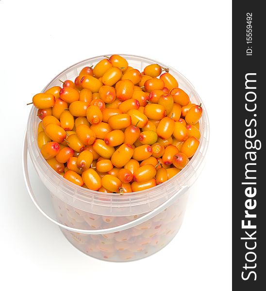 A bucket of sea buckthorn isolated on white. A bucket of sea buckthorn isolated on white