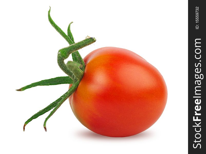 Selected tomato on a white background. Clipping path.