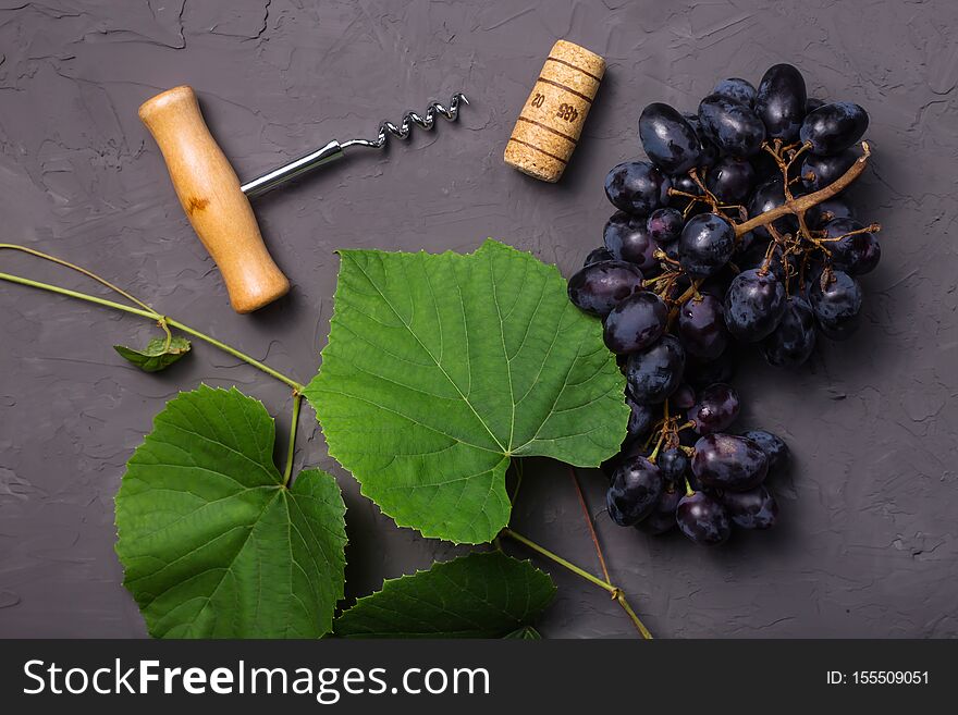 Winemaking concept from fresh autumn grape harvest