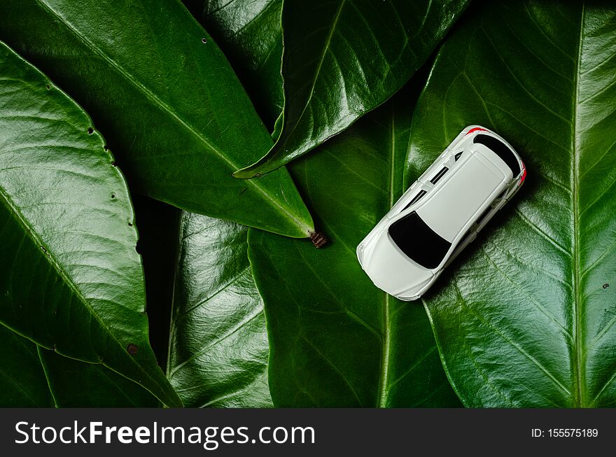 Cars and leaves that represent the use of environmentally friendly energy