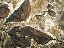 Free Fall. Stock Images - 15562934