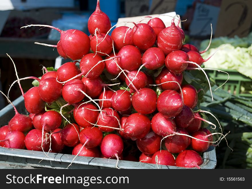 Bunch of red radish on the market stand. Bunch of red radish on the market stand