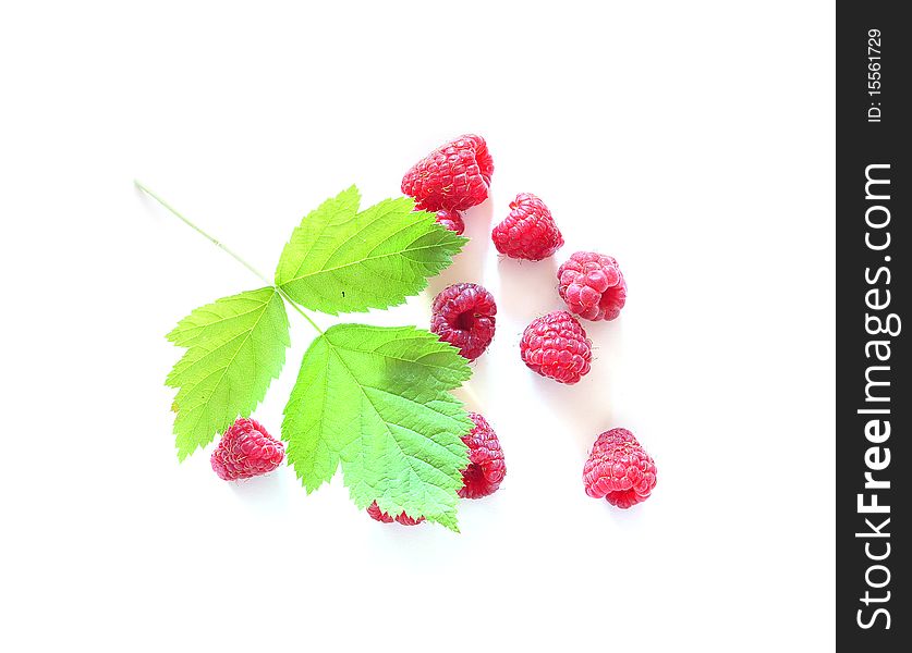 Berries of raspberry and leave on a white background