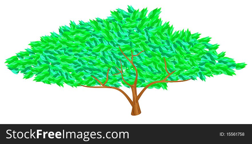 Vector tree with lush green stylized leaves and branches. Vector tree with lush green stylized leaves and branches