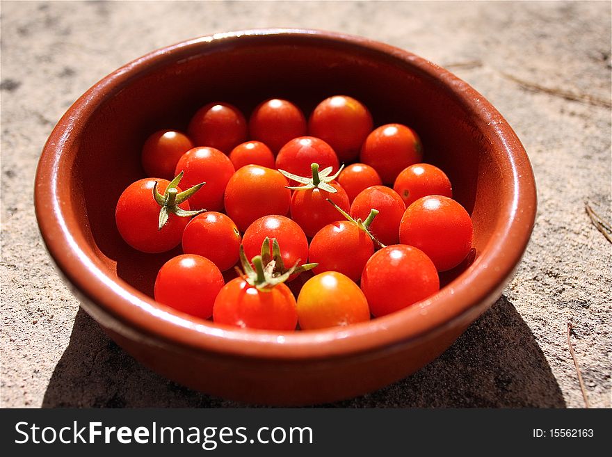 Cheery tomato in a terracotta pot