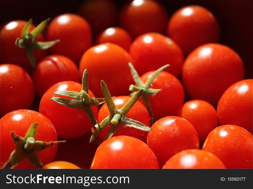 Cheery tomato close up shot