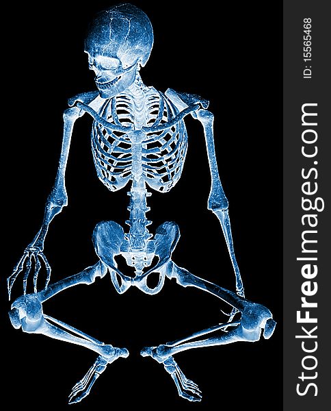 In biology, a skeleton is a rigid framework that provides structure as well as protection in humans. This image is excellent for biology science or halloween illustration. In biology, a skeleton is a rigid framework that provides structure as well as protection in humans. This image is excellent for biology science or halloween illustration.
