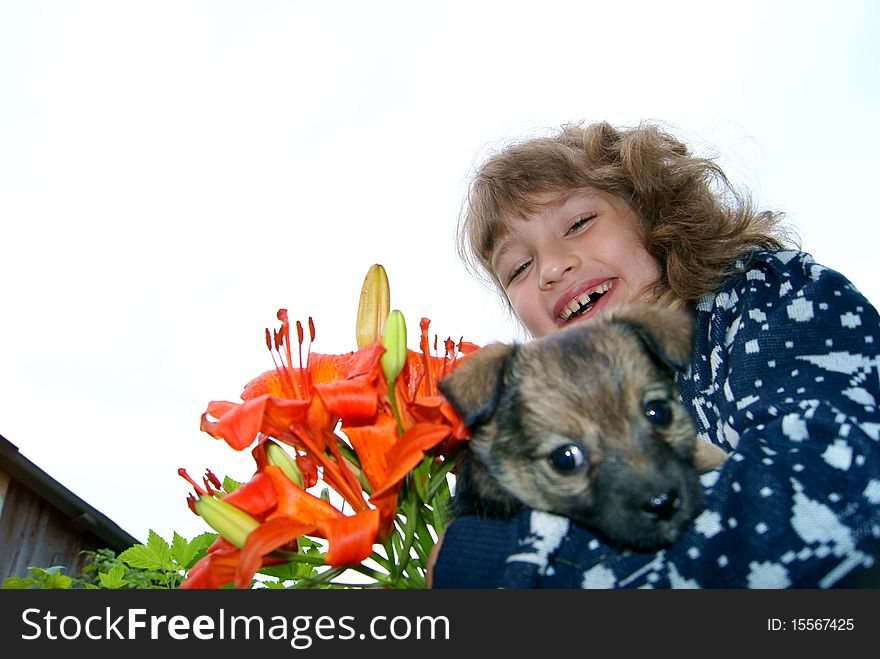 The joyful girl with flowers holds a small puppy on hands. The joyful girl with flowers holds a small puppy on hands