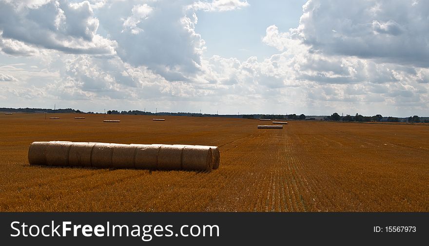 Hay Balls Under The Sky