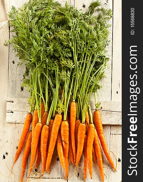 Fresh wet carrots on a farmers table. Fresh wet carrots on a farmers table