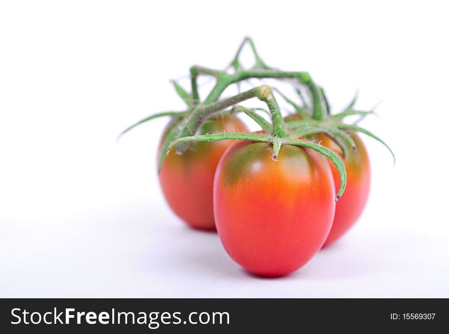 A special variety of tomatoes, the distinctive feature of which is small size.