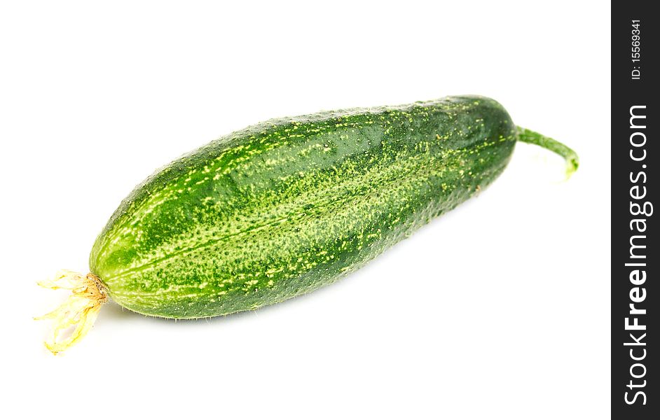 Isolated Cucumber