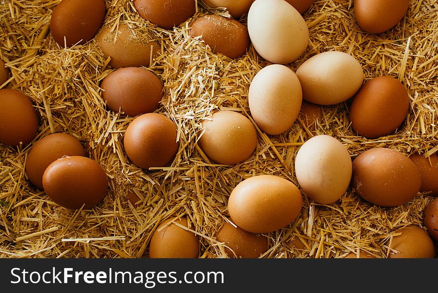 Organic fresh farm eggs at the market